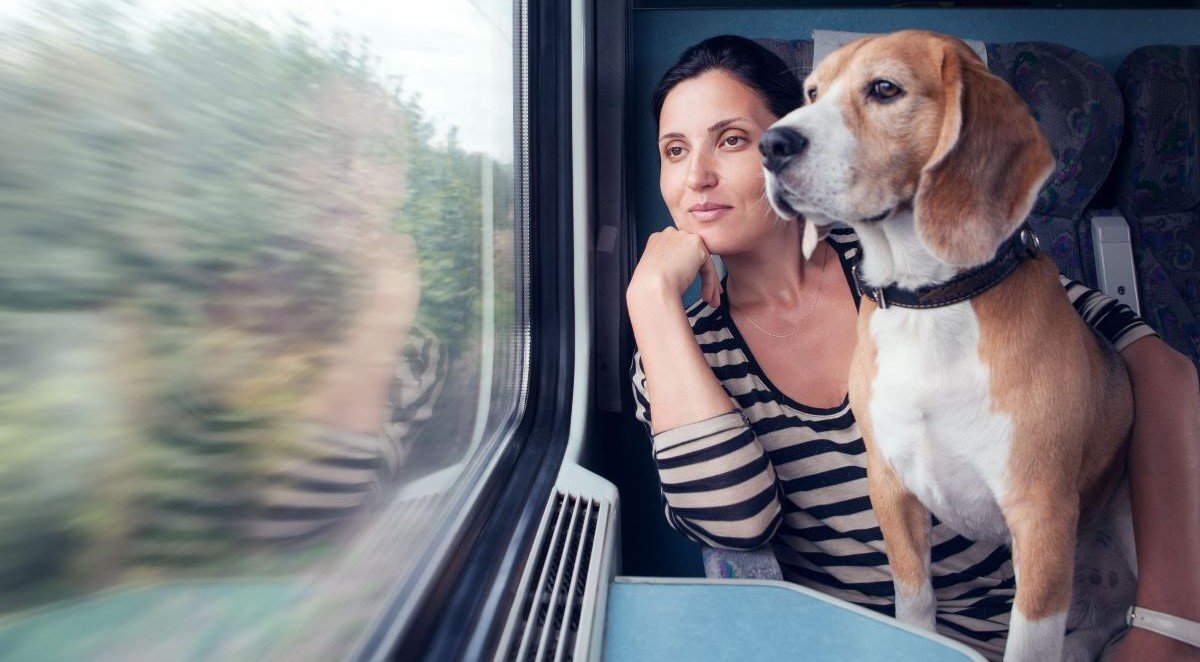man-with-dog-traveling-bus