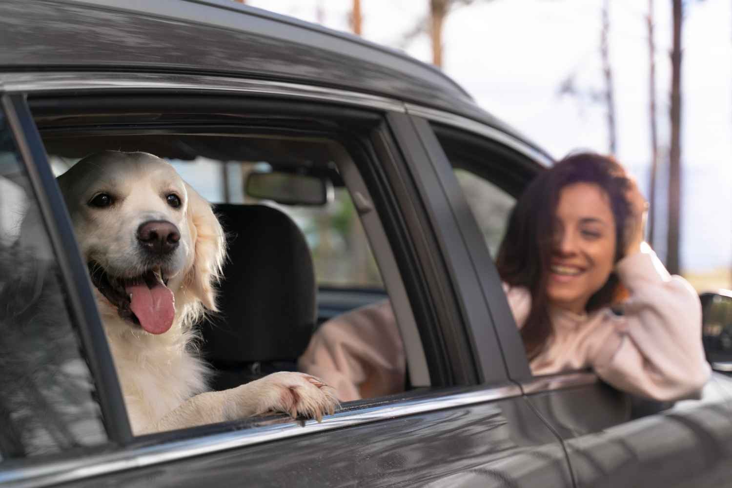 super pet dog transport