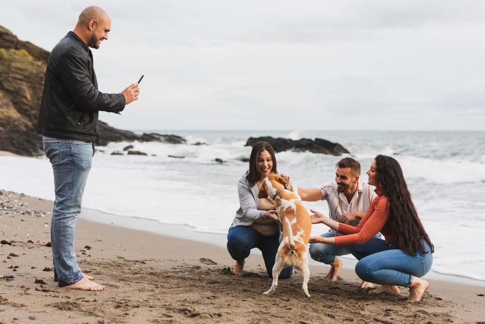 pets holidays